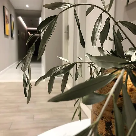 Oresti Center Hotel 3*