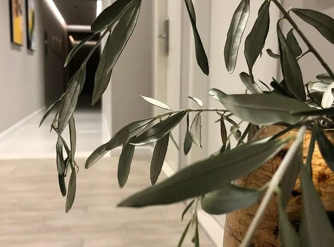 Oresti Center 호텔 3*