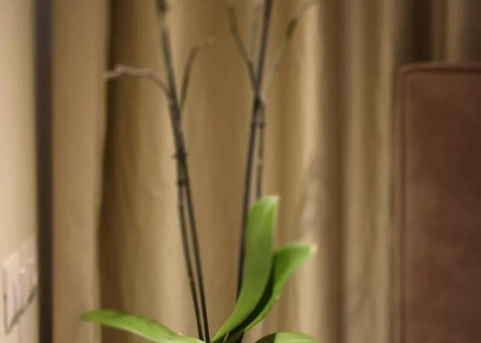 Oresti Center 호텔 티라나